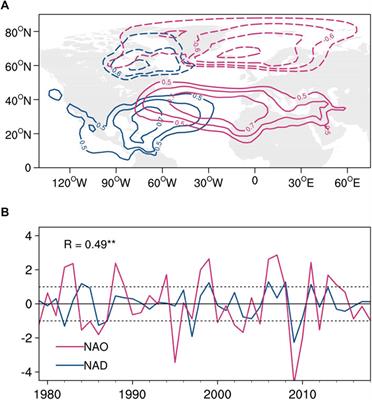 Influence of the North American dipole on the Atlantic warm pool